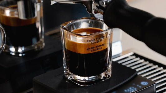 An espresso shot glas showing the differences between ristretto vs espresso