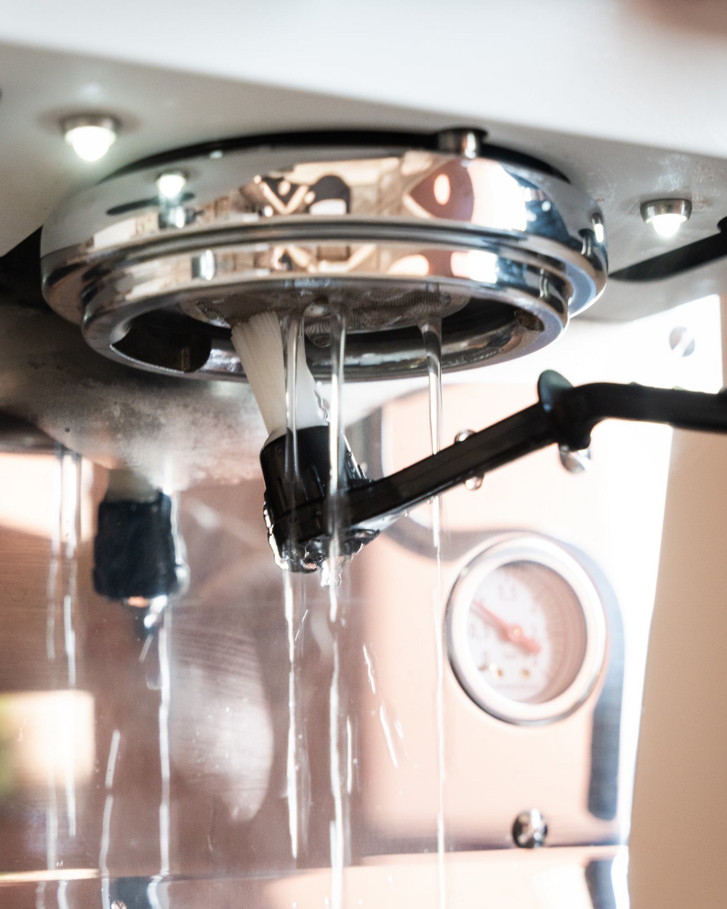 Group head cleaning brush