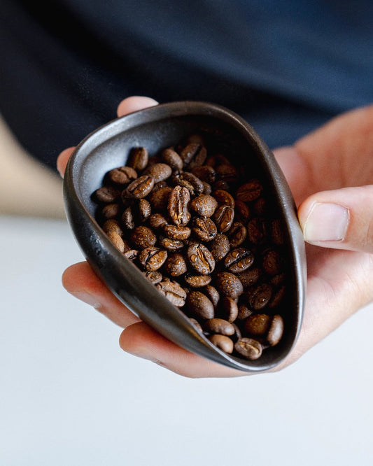 Damp coffee beans and coffee tray after use RDT spray bottle from Barista-Essentials