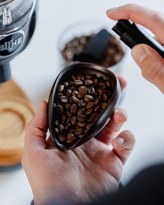 Barista accessoireset met RDT spray voor bemisten van je koffiebonen